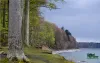 Computer screen wallpaper: North Forest
