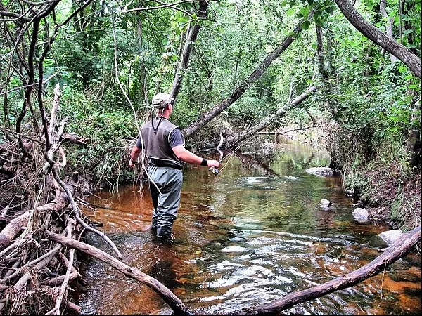 User submitted picture: ...Lithuanian Jungle...