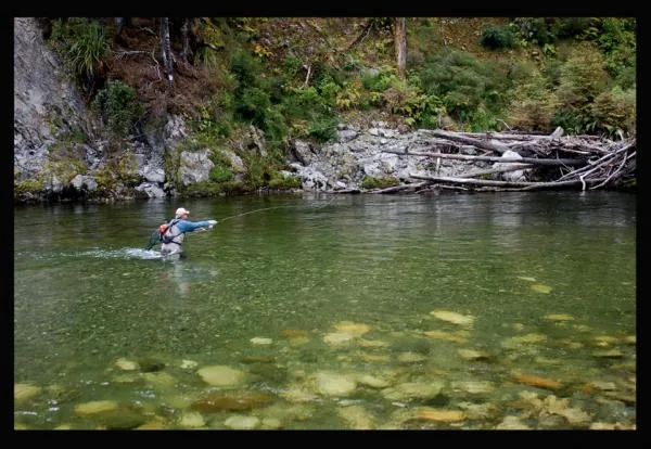 User submitted picture: Looking for trophy