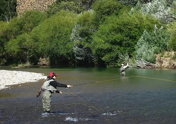 User submitted picture: Concentration