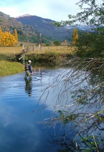 User submitted picture: Wading the spring creek.